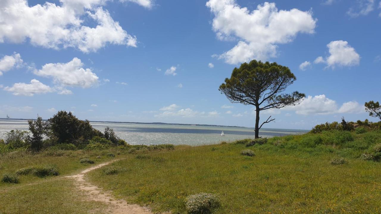 Appartement A 300M De La Plage Saint-Georges-de-Didonne Buitenkant foto